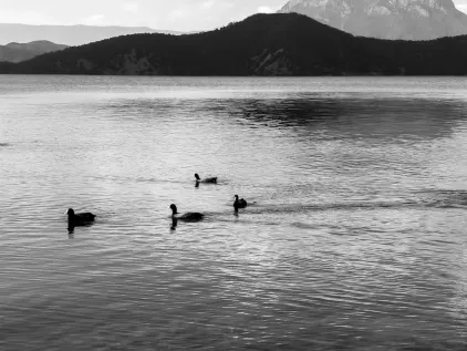 Casino Midas Mobile App